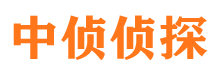 塔河侦探公司